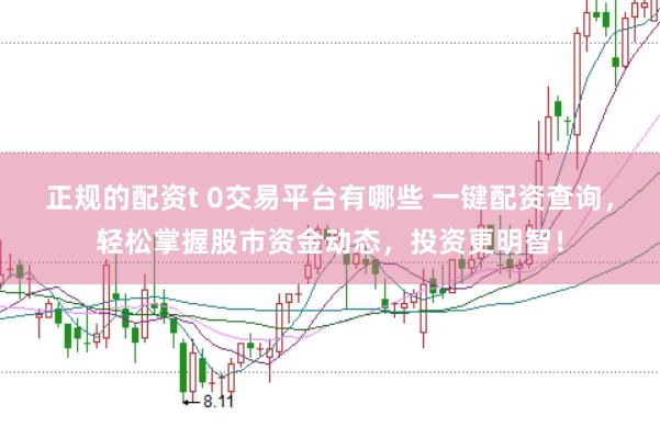 正规的配资t 0交易平台有哪些 一键配资查询，轻松掌握股市资金动态，投资更明智！