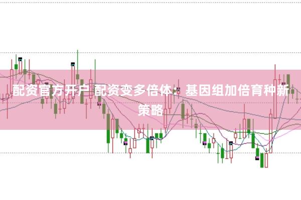 配资官方开户 配资变多倍体：基因组加倍育种新策略