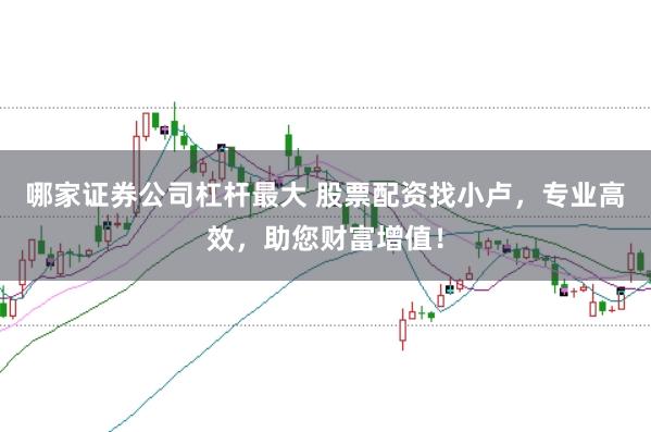 哪家证券公司杠杆最大 股票配资找小卢，专业高效，助您财富增值！