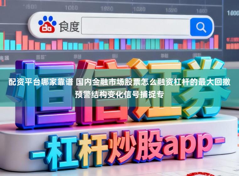配资平台哪家靠谱 国内金融市场股票怎么融资杠杆的最大回撤预警结构变化信号捕捉专