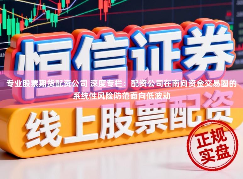 专业股票期货配资公司 深度专栏：配资公司在南向资金交易圈的系统性风险防范面向低波动
