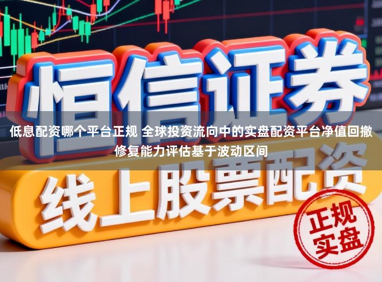 低息配资哪个平台正规 全球投资流向中的实盘配资平台净值回撤修复能力评估基于波动区间