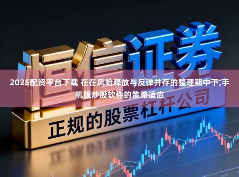 2025配资平台下载 在在风险释放与反弹并存的整理期中下,手机版炒股软件的策略适应